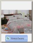 Комплект постельного белья 2-х спальный Aimee КПБС-020-400