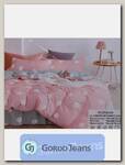 Комплект постельного белья 2-х спальный Aimee КПБП-020-422