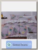Комплект постельного белья 2-х спальный Aimee КПБП-020-414